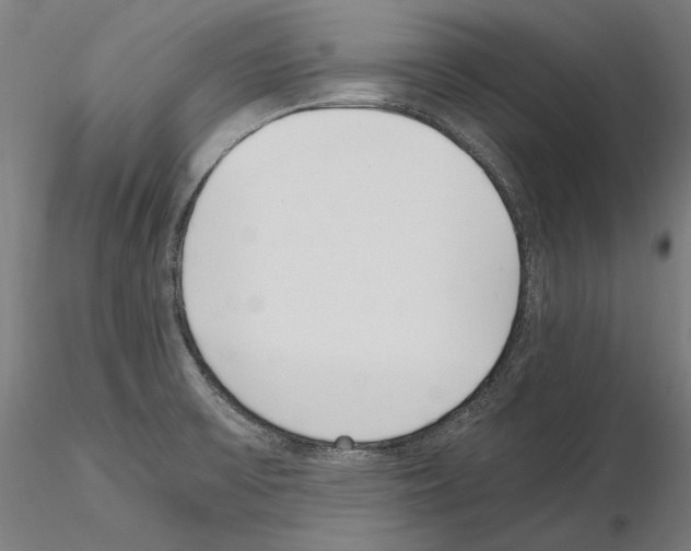 X0000115081475200912081200