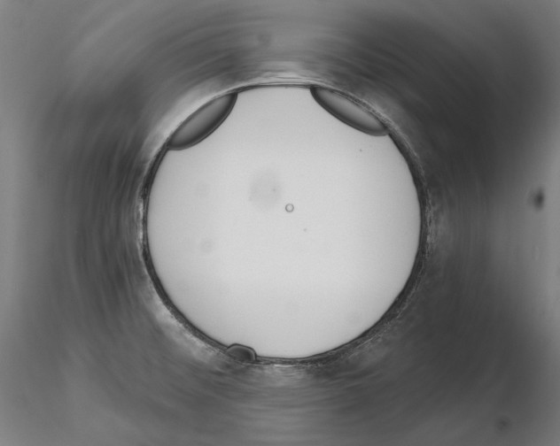 X0000115081476200912081200