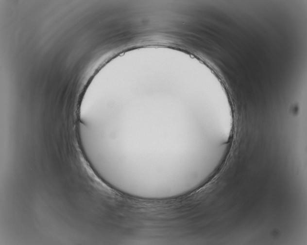 X0000115081477200912081200