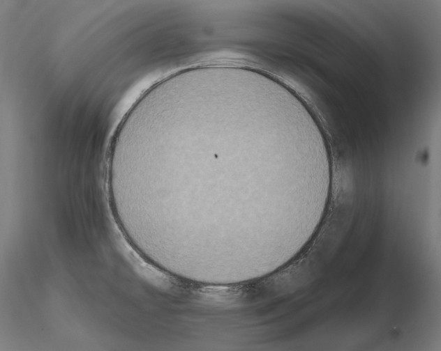 X0000115081478200912081200