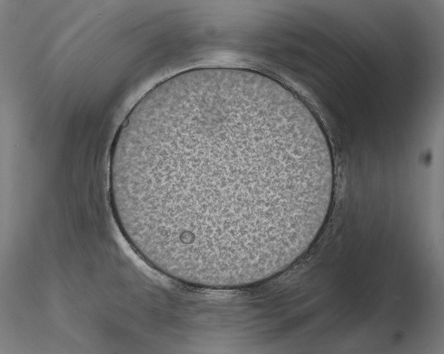 X0000115081479200912081200