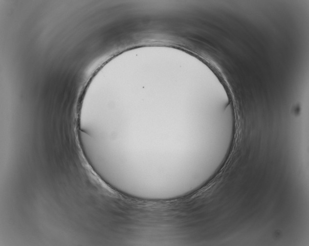 X0000115081480200912081200