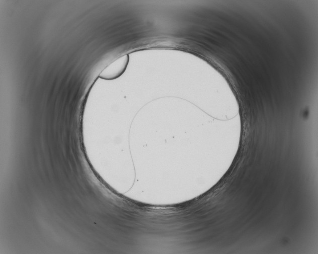 X0000115081483200912081200