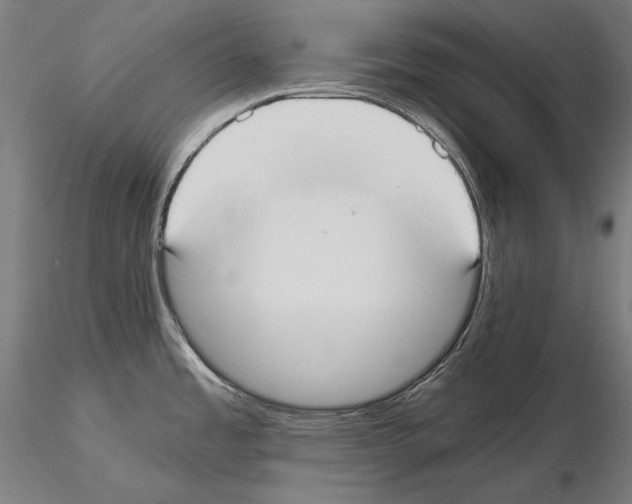 X0000115081485200912081159