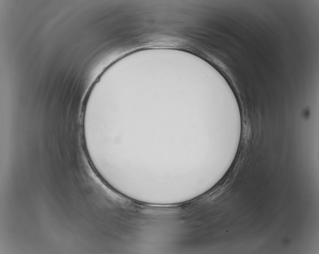 X0000115081487200912081159