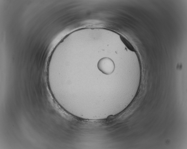 X0000115081488200912081159