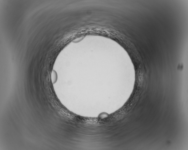 X0000115081489200912081159