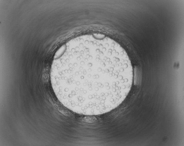 X0000115081491200912081159