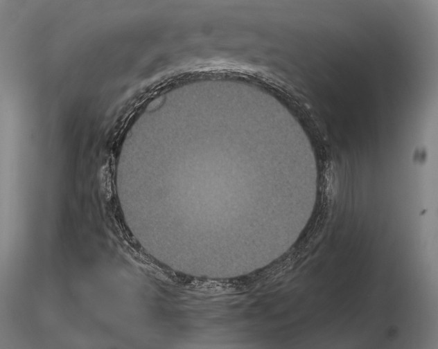 X0000115081493200912081159