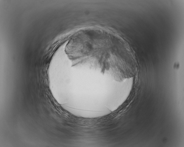 X0000115081494200912081159