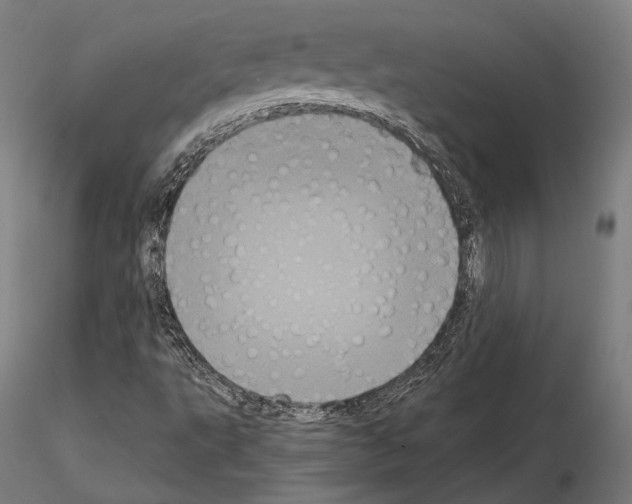 X0000115081495200912081159