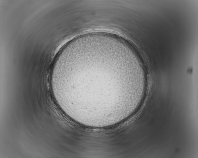 X0000115081497200912081159