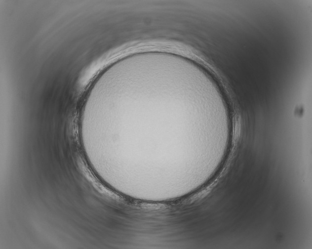 X0000115081498200912081159