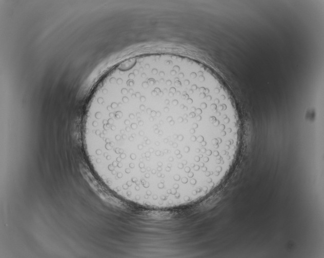 X0000115081499200912081159