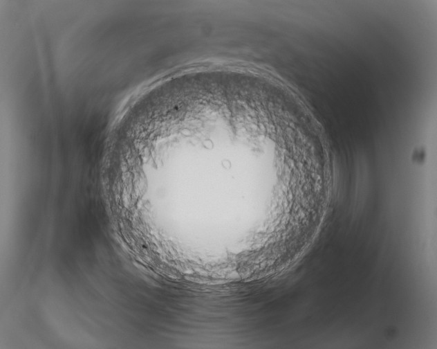 X0000115081501200912081159