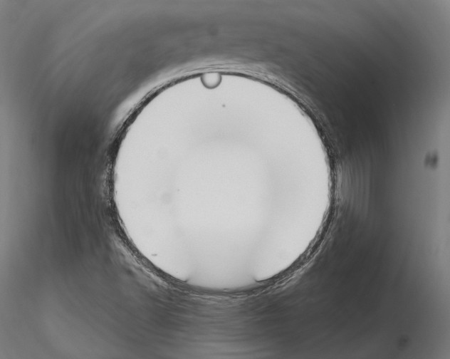 X0000115081502200912081159