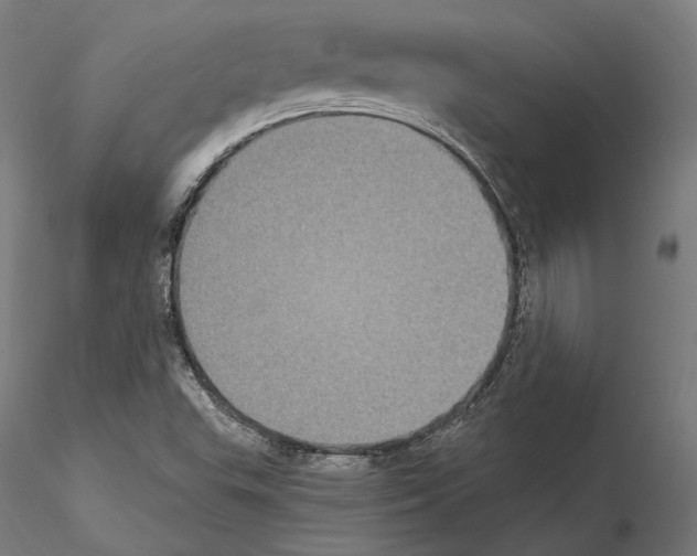 X0000115081503200912081159