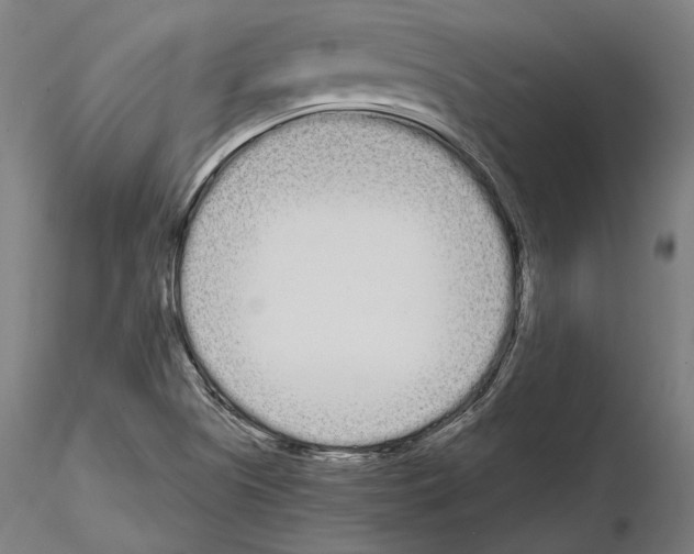 X0000115081505200912081159