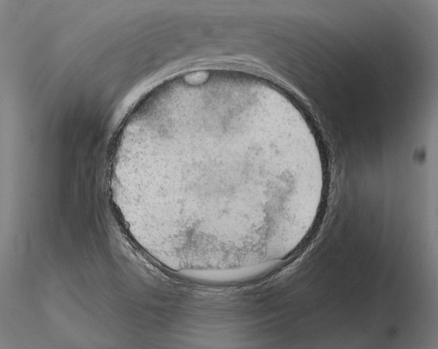 X0000115081506200912081159