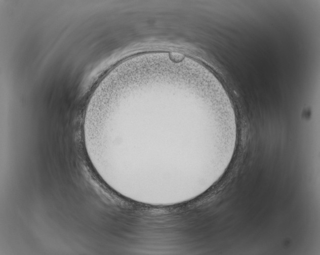 X0000115081507200912081159