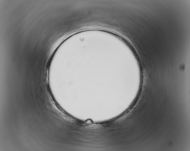 X0000115081509200912081159