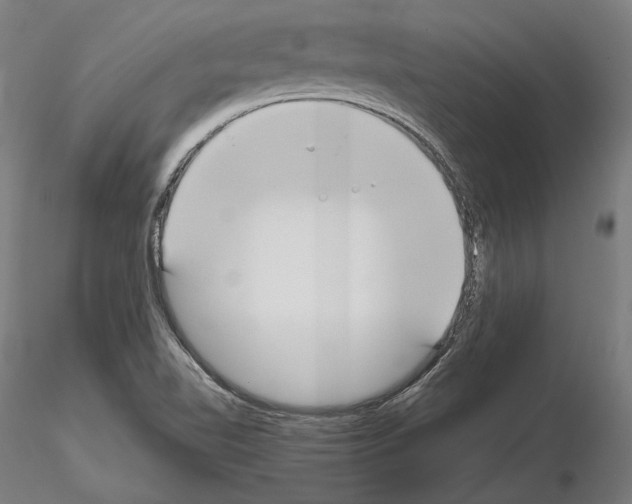 X0000115081510200912081159