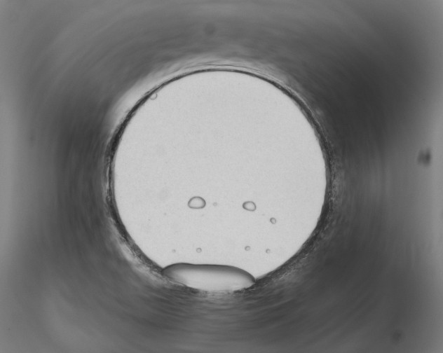 X0000115081511200912081159