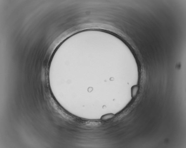 X0000115081513200912081159