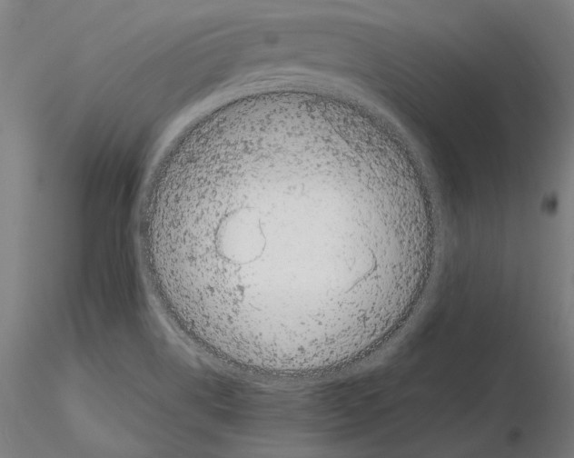 X0000115081514200912081159