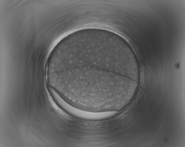 X0000115081515200912081159