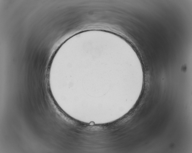 X0000115081517200912081159