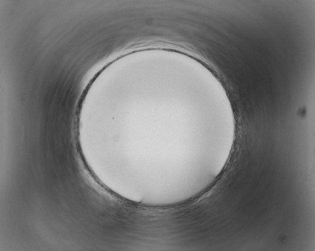 X0000115081518200912081159