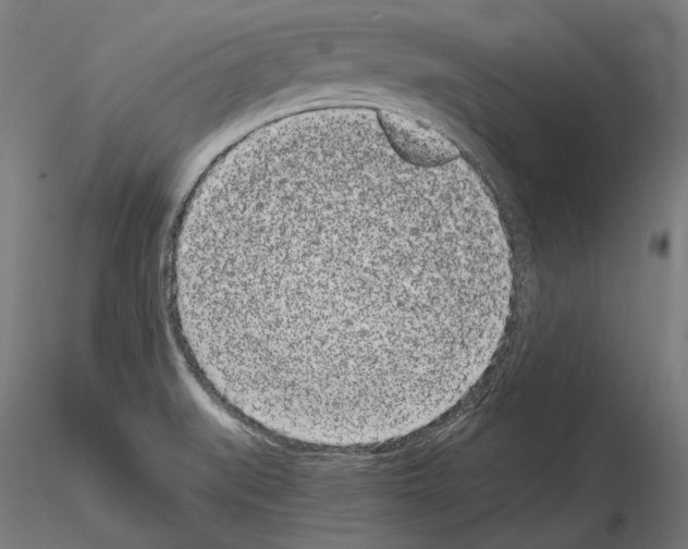 X0000115081519200912081159