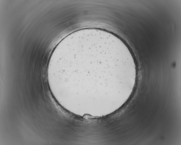 X0000115081521200912081159