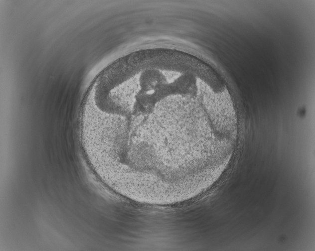 X0000115081522200912081159