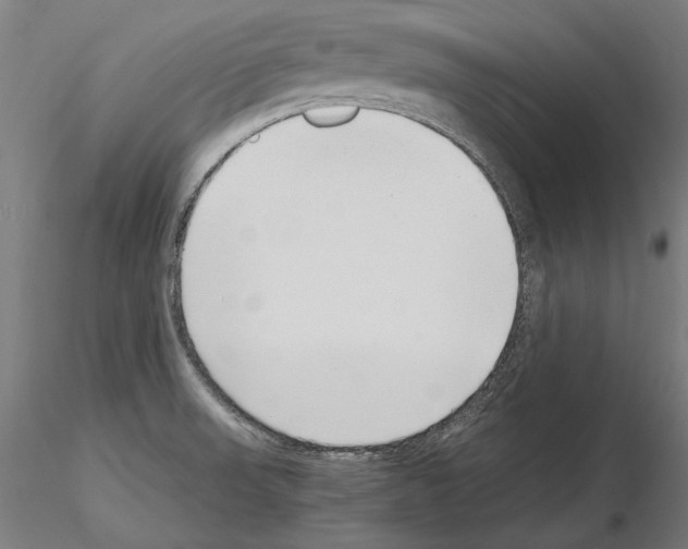 X0000115081523200912081159