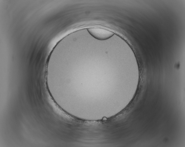 X0000115081526200912081159