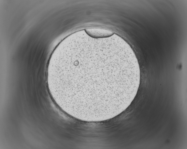 X0000115081527200912081159