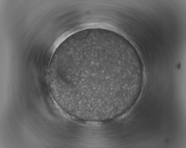 X0000115081529200912081159