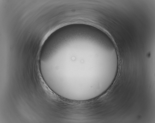 X0000115081530200912081159