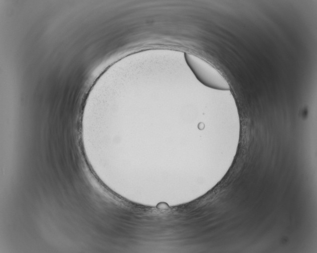 X0000115081531200912081159