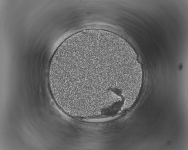 X0000115081533200912081159