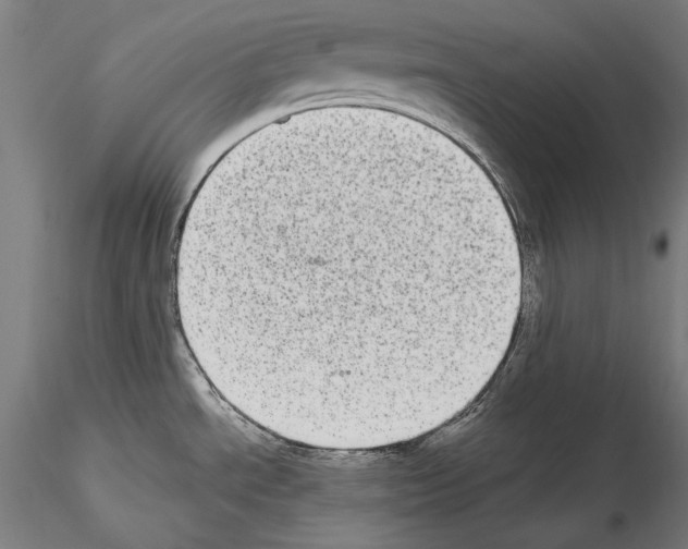 X0000115081534200912081159