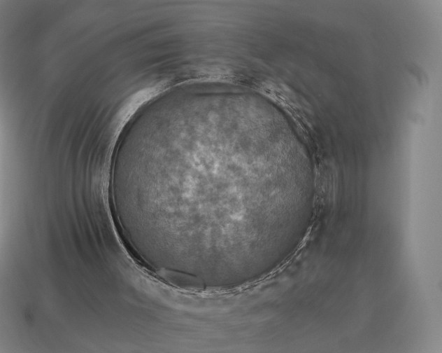 X0000115090003200911101533