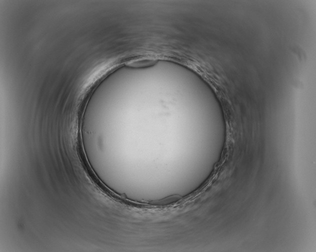 X0000115090005200911101533