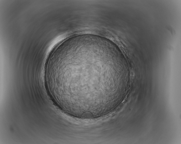 X0000115090006200911101533