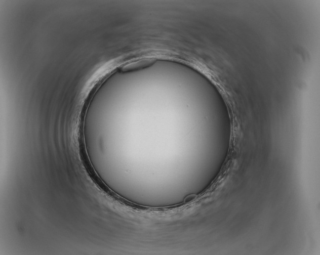X0000115090007200911101533