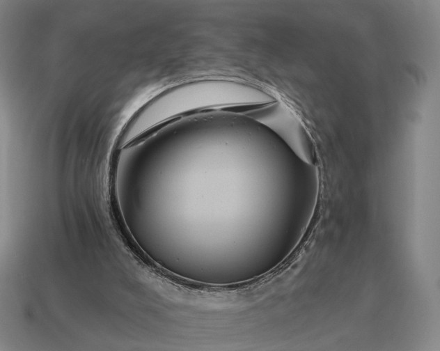 X0000115090008200911101533