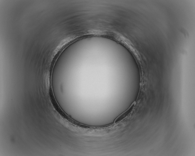 X0000115090011200911101533
