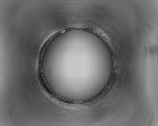 X0000115090012200911101533